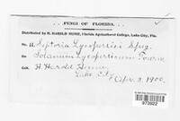Image Associated With the Occurence